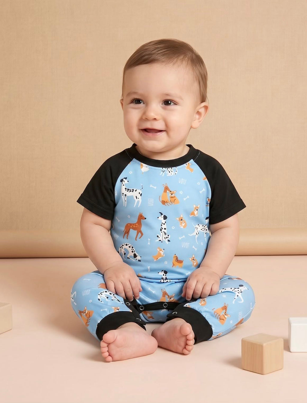Playful Paws Boy Romper